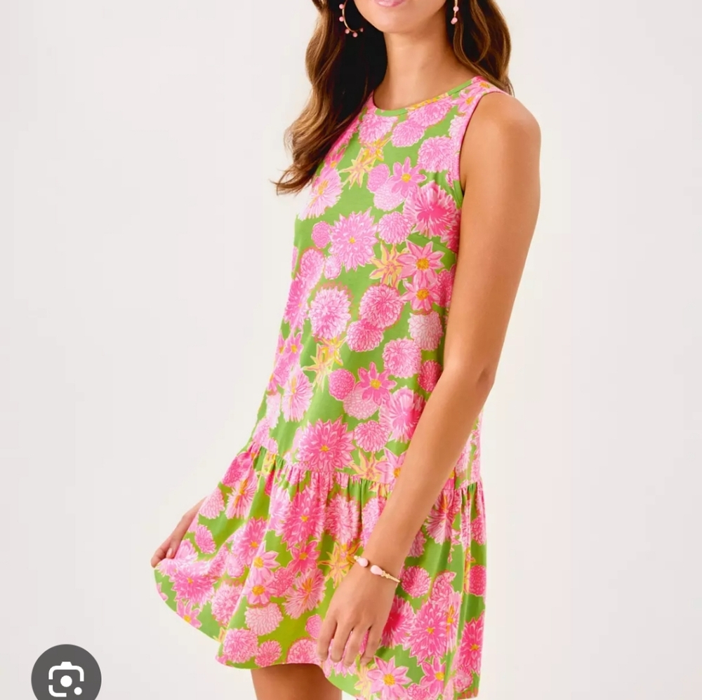 Lilly PULITZER DIXI DRESS SZ XXS Multi Seaside Garden New Pink Green